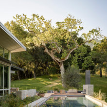 Yard - pool
