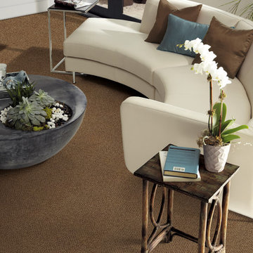 Living Rooms