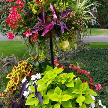Seasonal Plantscaping