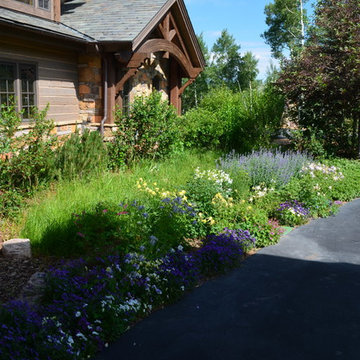 Design - Build Mountain Ranch Landscape in Summit County, CO