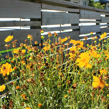 Fences and Gates