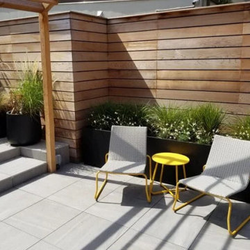 Chelsea Rooftop Garden I