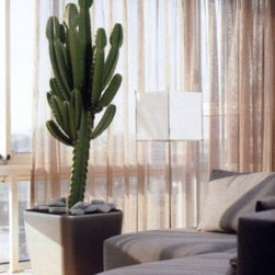 Modern Planter - Products