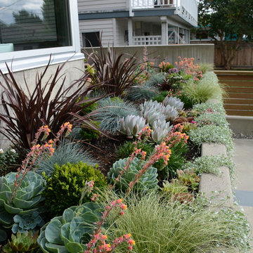 Contemporary Seaside Garden