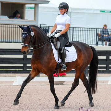 Deann Hammer, owner of Broadway Design is a competitive Dressage equestrian