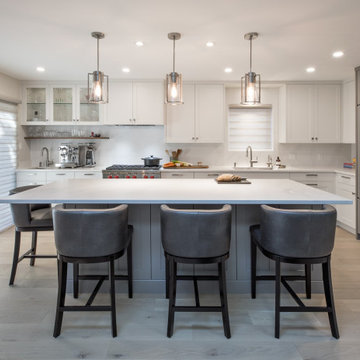 Transitional Home - Designed By AyA Kitchens and Baths