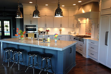 Kitchen - kitchen idea in Chicago