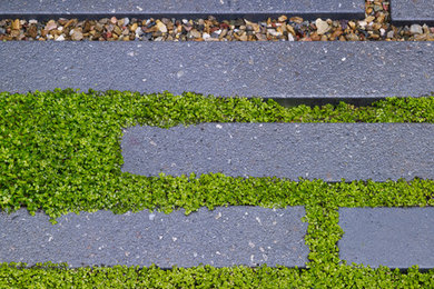 Photo of a landscaping in San Francisco.