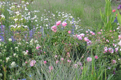 Photo of a rural garden in Other.