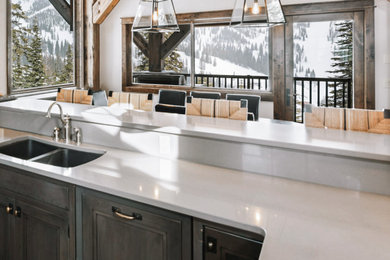 Inspiration for a kitchen remodel in Seattle