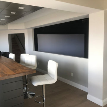 Custom Basement Simulator