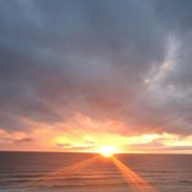 Jennifer Robbins's photo