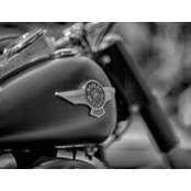 Ray Scanlon's photo