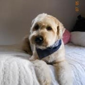 ESther Tartaglia's photo