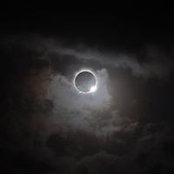Suzanne Lindley's photo