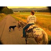 Austan Laubach's photo