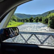 Sam Romano's photo