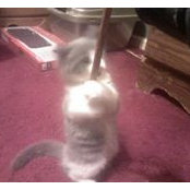 Nancy Ward's photo