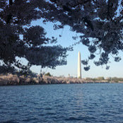 Rafah Masri's photo