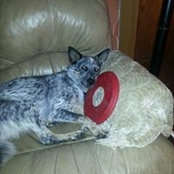 Chuck Horton's photo