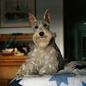Nancy Tell's photo