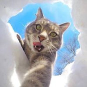 Alessandro Benfatto's photo