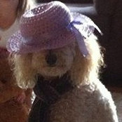 Donna Velardi-Poulin's photo