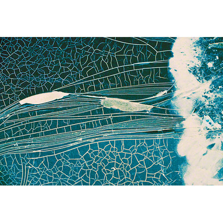 "Jellyfish", Unnatural Abstractions, 2003 Canvas Art, 32x48, Framed
