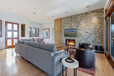 Living room photo in Dallas
