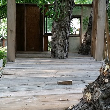 Real Tree House - Real House on a tree