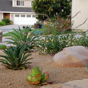 Sustainable Garden