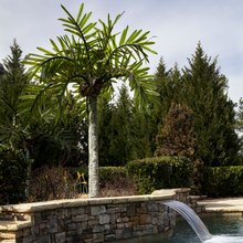 pool ambiance