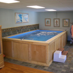 Original Endless Pools&reg;, Basement Pool - Products