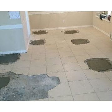 77036 Project Interior and Exterior Pilings