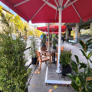 Decoración vegetal para terraza de restaurante en Serrano, Madrid