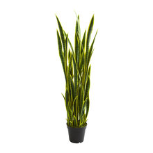 Artifial Plants