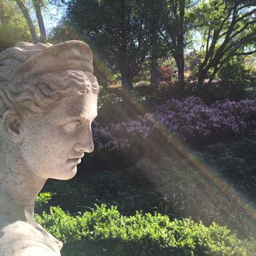 Fort Worth Estate Garden