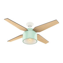 Ceiling fans