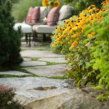 Steps and paths