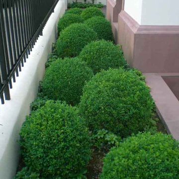 Bildergalerie