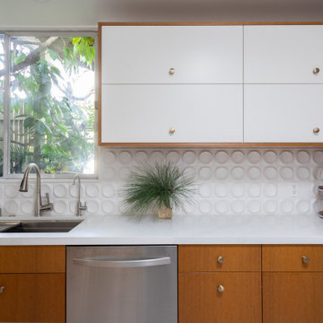 Encino Mid-Century Modern Kitchen