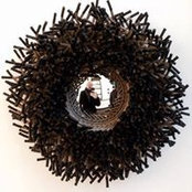 Angus MacDonald's photo