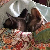 Jeanmarie Long's photo