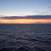 Olivia Cerda's photo