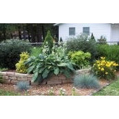 Regina Harbison's photo