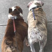 Amy Burke's photo