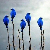 Gina Hall's photo