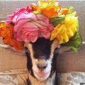 Kristin Larson's photo