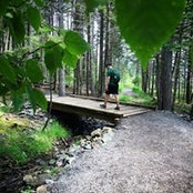 Evan Clark's photo
