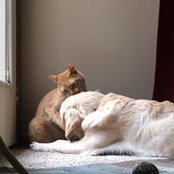 Sheri Oberlander Weber's photo